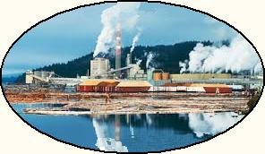 Pulp mill