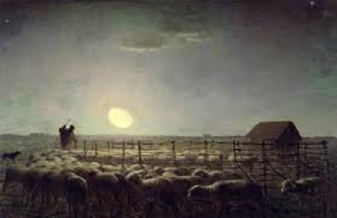 sheep on a moonlit night