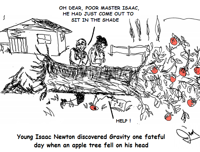 Newton discovers gravity when an apple tree falls on his head